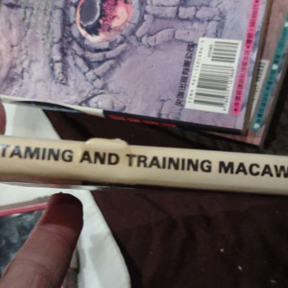 Taming and training Macaws birds by risa teitler - Picture 4 of 12